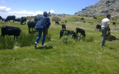 El Fin de Semana en Gredos – Seguimiento de Familias en Trastorno Límite