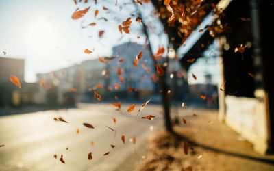 Salud Mental y Serotonina. ¿Cómo se relacionan?